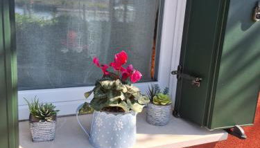 Appartamenti Bellavista 107 - Foto 2