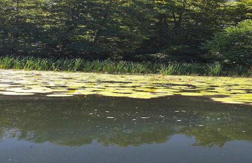 Holiday Home in Parchowo by Lake Mausz - Foto 34