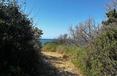 Beachstudio Monolocale fronte mare a Rosamarina - Foto 16