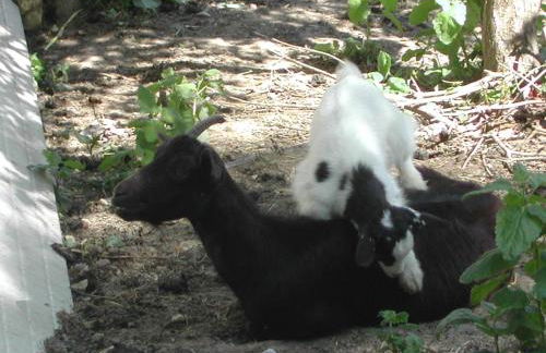 Agriturismo Casa Rosa - Foto 28