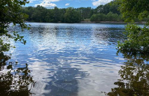 Adirondack Waterfront Cabin Upper Hudson Tributary - Foto 31