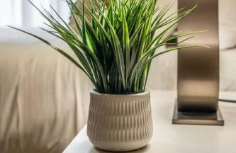 Serene Craftsman Near Boeing Everett - Photo 19