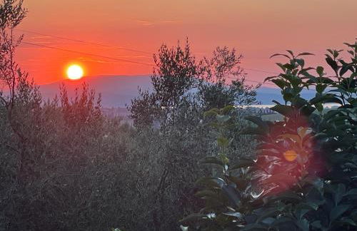 Casa RODA - Photo 35