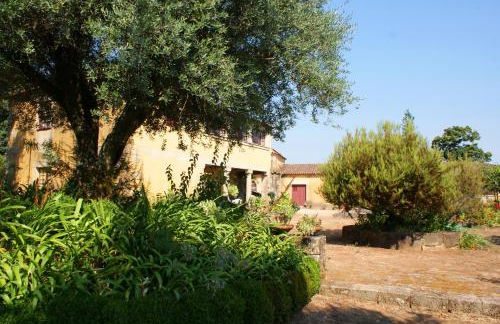 Quinta Da Agra - Foto 44