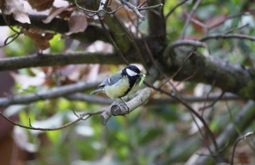 La ferme de Berlioz - Foto 41