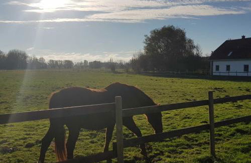 Ferien-Residenz am Nationalpark Wohnung 6 - Foto 8