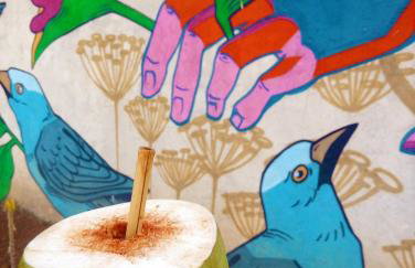 Villa Ágape - Chapada dos Veadeiros - Foto 27