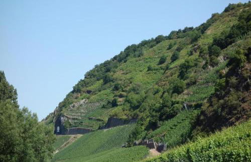 Geraumiges Ferienhaus in Hessen mit Garten - Foto 67