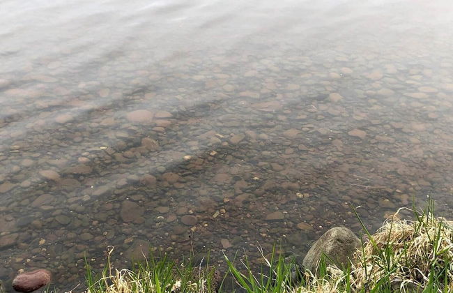 Sunset Cove Cabin On Lake Grindstone - Photo 23