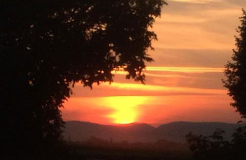 Alte Heimat - Foto 68