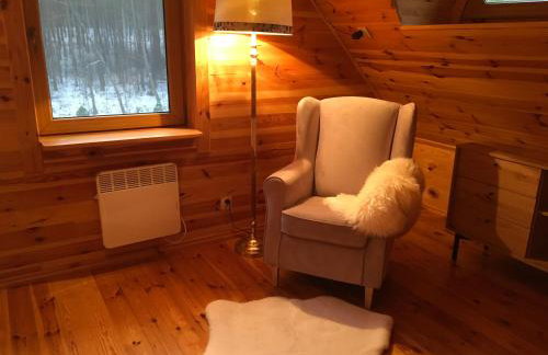 Deluxe Holiday Zdrojowa -Willa typu Alpejskiego w Borach Tucholskich-Całoroczna Balia z jacuzzi-Prywatny las i strumyk -Duża Wiata grillowa - Foto 22