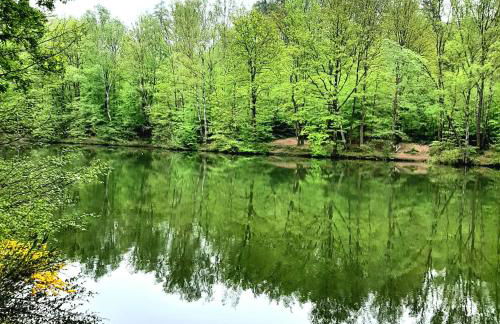 Gelbe Koffer - Family & Business 2 SZ Apartment in Neunkirchen - Self-Check-in - Balkon - Parkplatz - bis 5 Pers - Foto 37