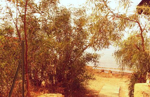 Coveta Beach Apartament - Photo 29