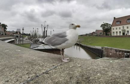 Ferienwohnung Seemöwe - Ihr Wohlfühlort an der Nordsee - Foto 10