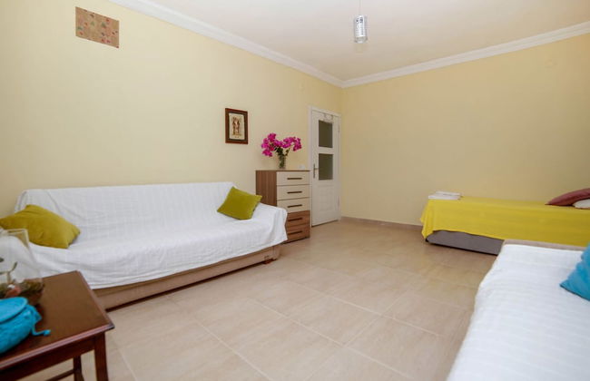 Kaktus Gokseki - Foto 4