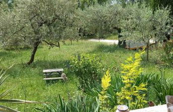 Villa conviviale au soleil avec piscine - Foto 2