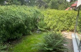 FREIraum14 - Photo 8