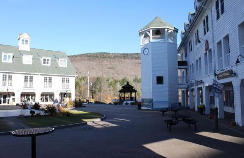 Spacious Private Home in White Mountains-Loon-Owl - Foto 65