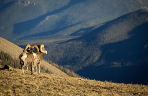The Broadmeadow Cabin - VR-25-0005 cabin - Photo 56