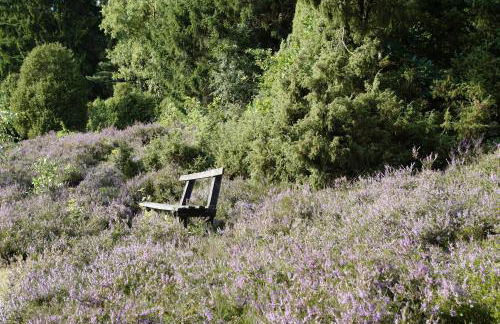 Ferienpension Lindenhof - Ferienwohnungen in der Lüneburger Heide - Foto 43