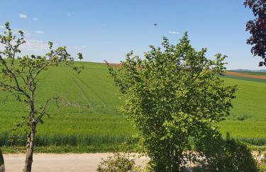 Ferienwohnung im Schwarzwaldhaus - Foto 15