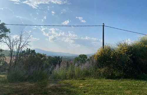 Agriturismo Tenute di Hera - Via Francigena - Foto 3