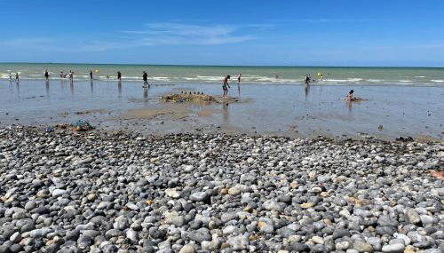 laureclipse2 - Foto 5