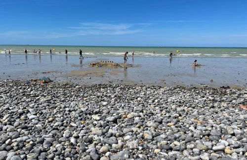 laureclipse2 - Foto 5