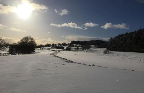 The Granary at Pentregaer Ucha, tennis court & lake. - Foto 33