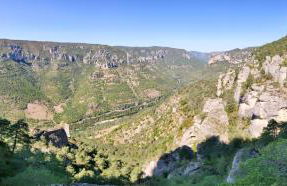 L'Oustalou - Tiny house en Aubrac - calme & nature - Foto 59