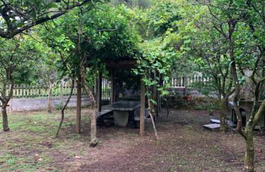 A Debesa do Rei - Foto 23