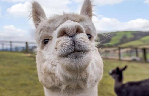 4 Bed in Newtown oc-86784 - Foto 22