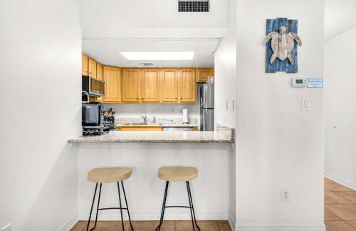 Sand Dollar E-101 - Foto 10