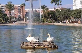 PARQUE DEL MEDITERRANEO - Photo 49