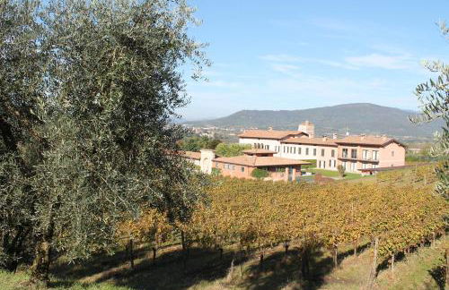 Appartamento Franciacorta - Foto 29