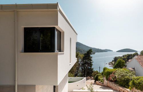 My seagull - Photo 9