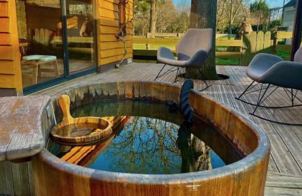 O et Terre, gite ressourcement bains spa cryo sauna et foret - Foto 11