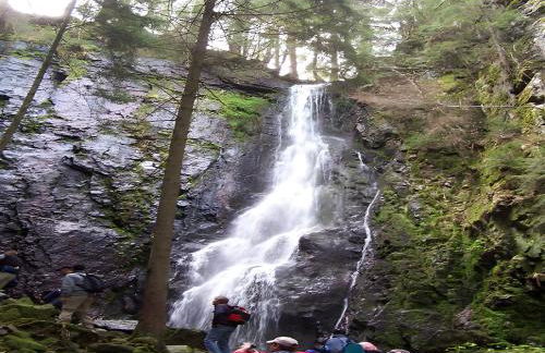 Gästehaus Brigitte Schoch - Photo 10