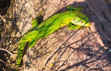 Ferienwohnung Angie - Foto 27