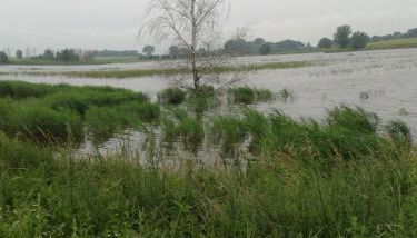 Apartments zum Brauergang - Foto 5