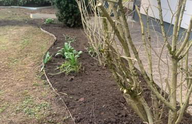 stay with friends Trier 2 - Foto 20