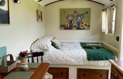 Harpers Huts - Alma - Foto 4