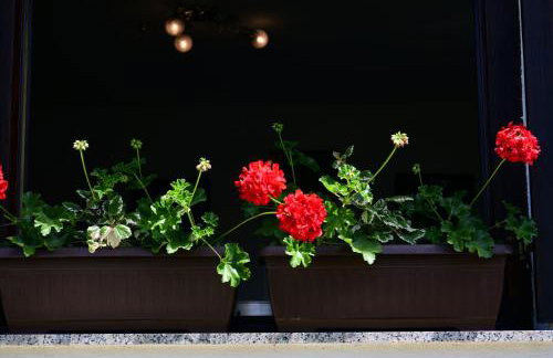 Apartment Mlađen - Foto 6