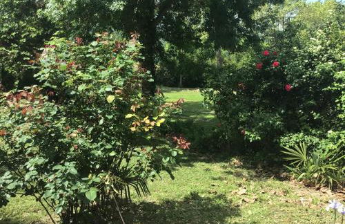 Le gîte de Gascogne - Photo 30