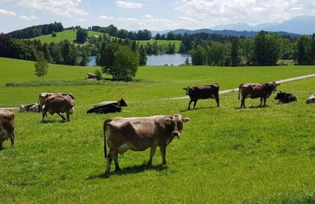 Chic Holiday Apartment - Photo 8