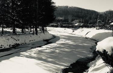 Chatka Czarny Bocian w Podgórzynie - Foto 32