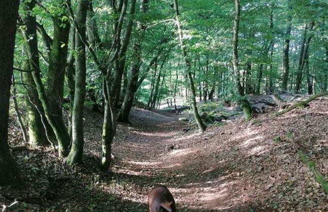 Holiday Apartment Kerstin - Foto 24