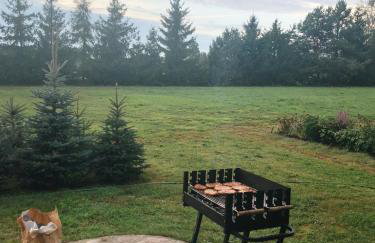 Sosnówka - dom wypoczynkowy na Kurpiach - Foto 21