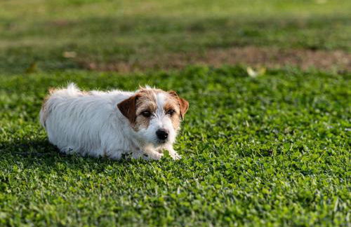 LA MASSARÌA agriresort - Foto 29