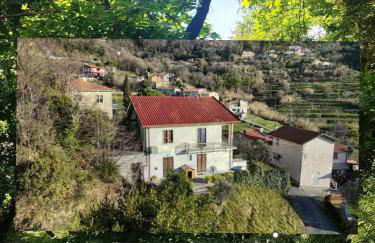 Appartamento Il Castagno - Foto 1